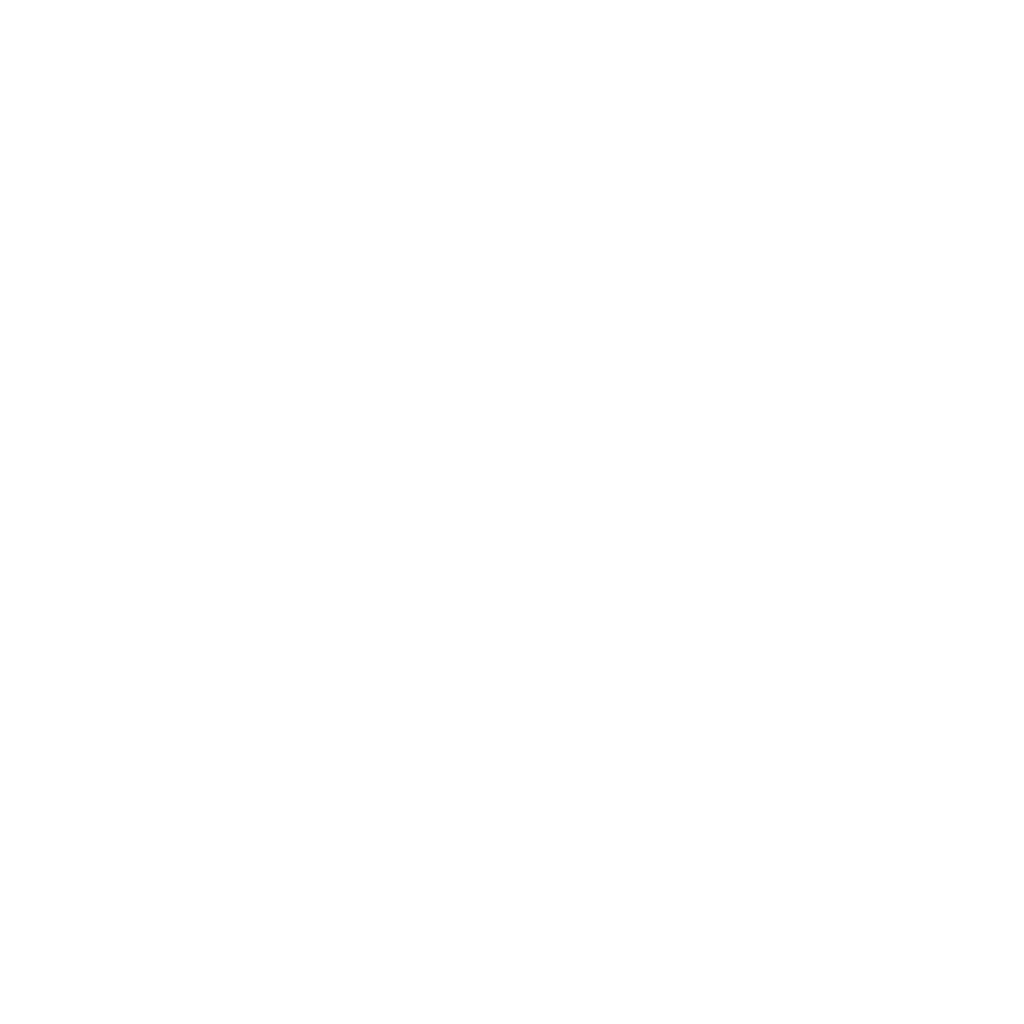 Alternativ Logo Scheidegg Sport